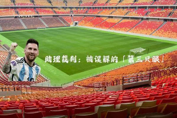 助理裁判:被误解的「第三只眼」